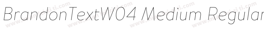 BrandonTextW04 Medium Regular字体转换